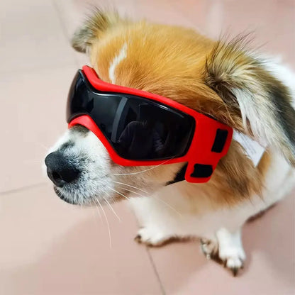 Dog Goggles